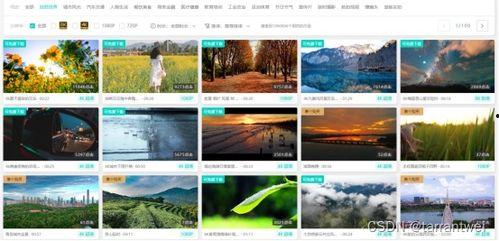 在哪里找爆料素材视频呢,揭秘爆料素材视频的搜集途径  第2张